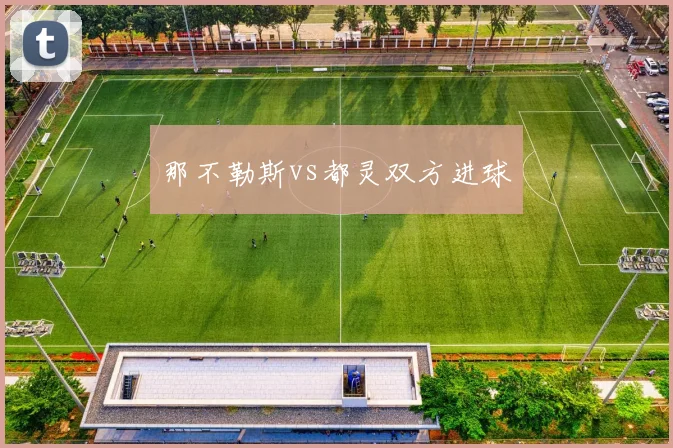 那不勒斯vs都灵双方进球