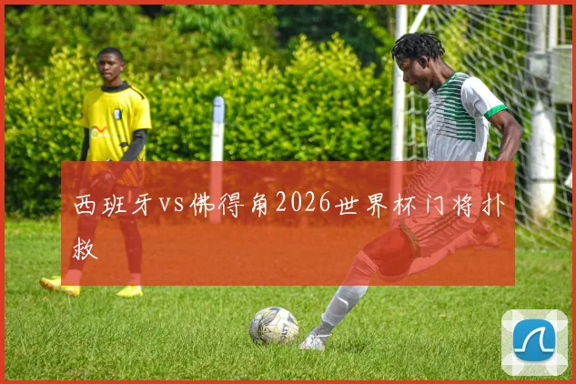 西班牙vs佛得角2026世界杯门将扑救