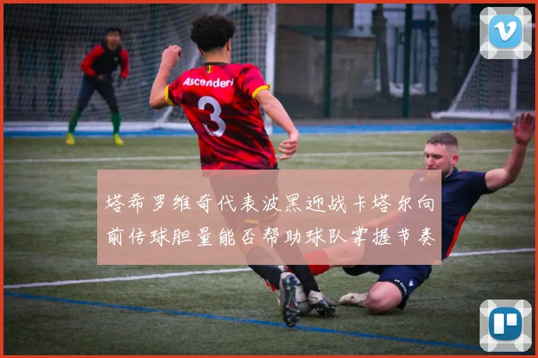 塔希罗维奇代表波黑迎战卡塔尔向前传球胆量能否帮助球队掌握节奏