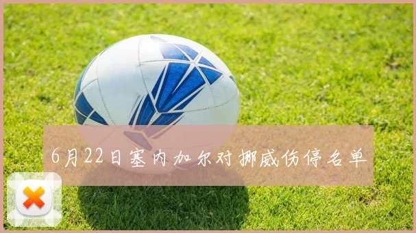 6月22日塞内加尔对挪威伤停名单