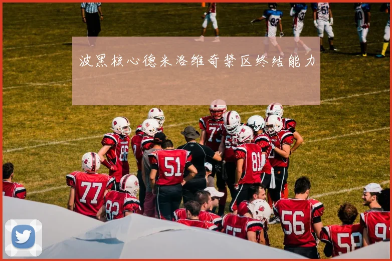 波黑核心德米洛维奇禁区终结能力